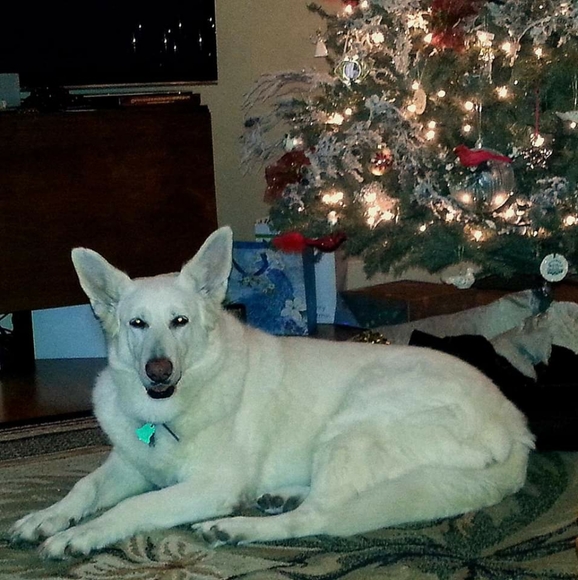 Meet your Posher, Norma - Picture 6 of 8